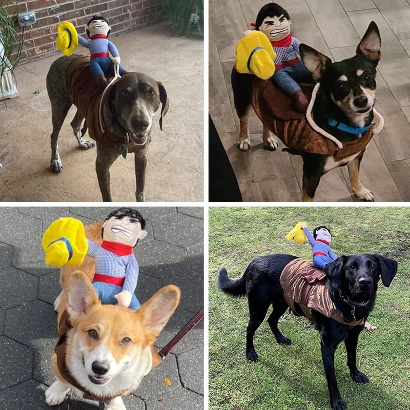 Hotumn Dog Costume Pet Costume Pet Suit Cowboy Rider Style Dog Halloween Costume Pet Funny Clothes(M) - Image 3
